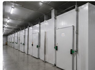 Câmara frigorífica instalada pela Invernia — obra 2