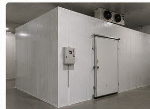 Câmara frigorífica instalada pela Invernia — obra 7