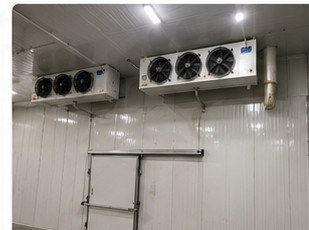 Câmara frigorífica instalada pela Invernia — obra 3